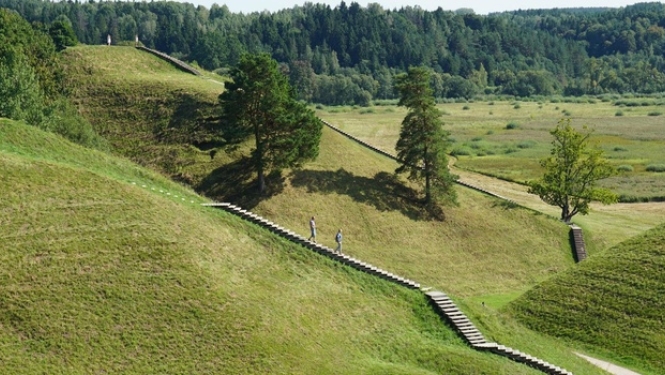 Foto